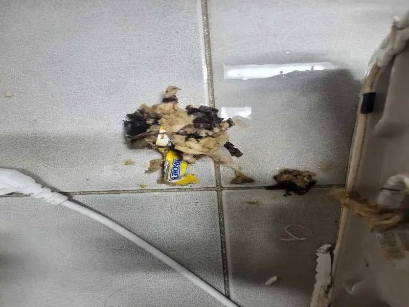 노원구 배관 이물질 제거 사례 4